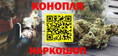 сатива Малгобек