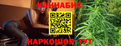 сатива Малгобек