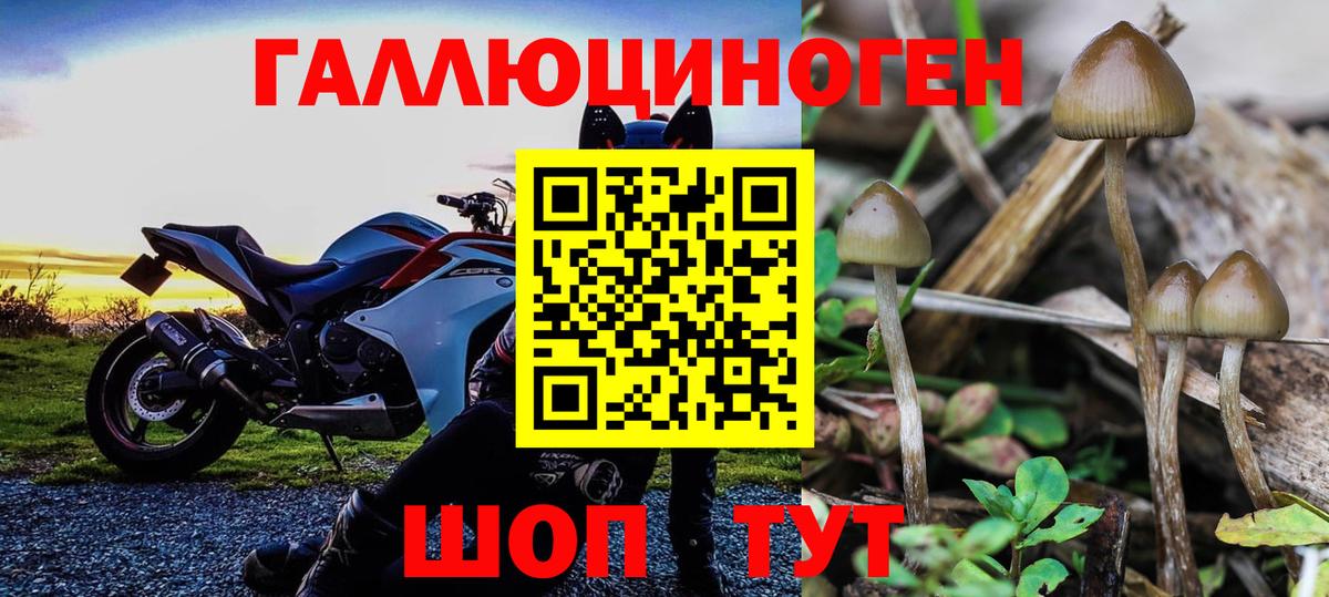 закладка  Вход с VPN  Чебоксары  Псилоцибиновые грибы Magic Shrooms  Псилоцибиновые грибы мухоморы 